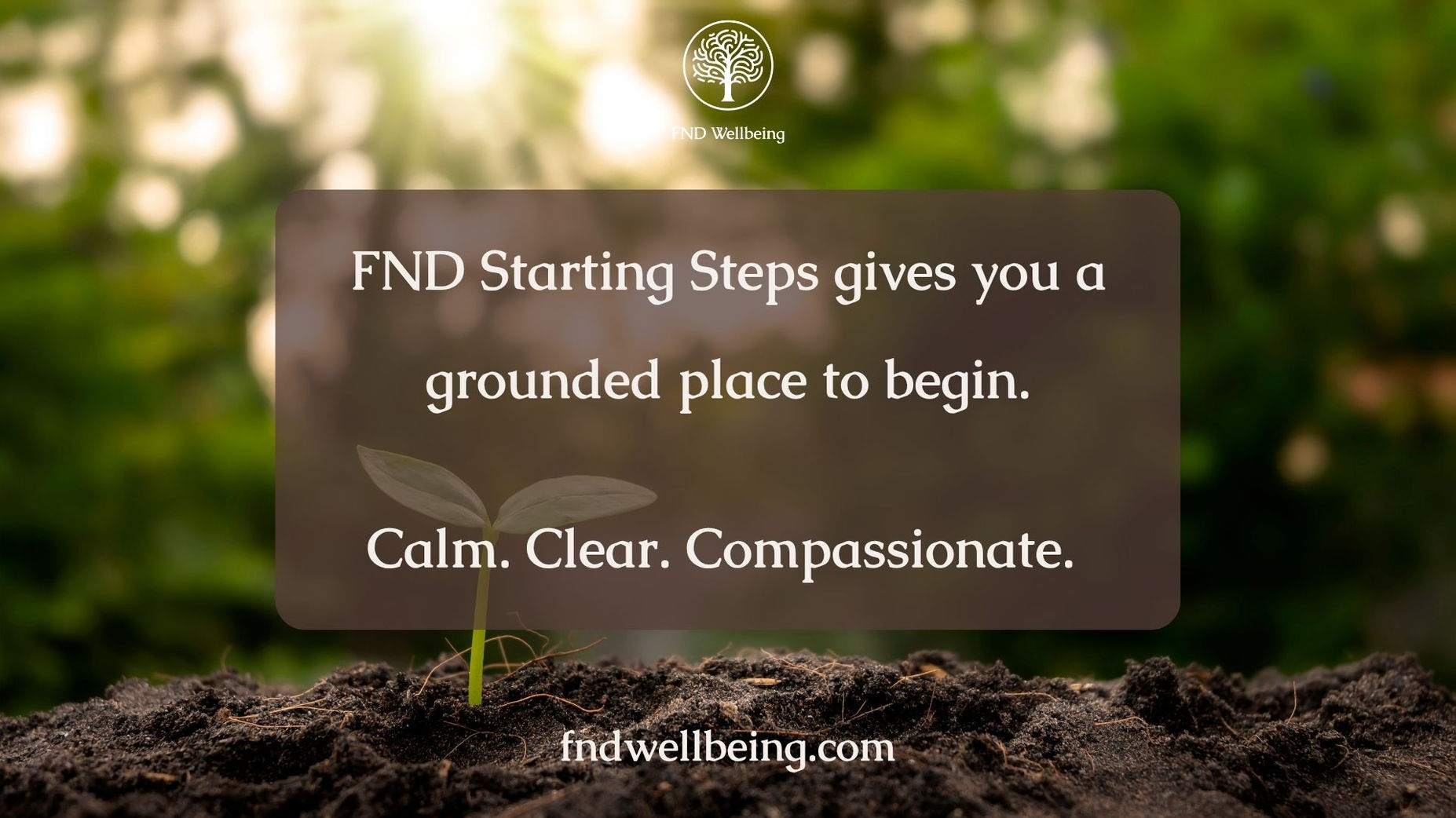 FND Starting Steps